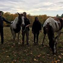 During our workshop with communicating with horses! 