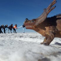 World Unite! Volunteering in Bolivia