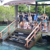 students looking at a seal