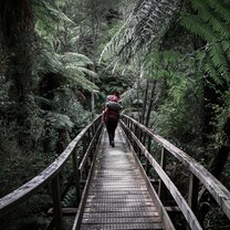 A photo taken during a backpacking trip on the Abel Tasman with Whenua Iti