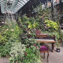 Piano surrounded by plants