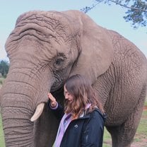 One of our program excursions to Knysna Elephant Park!