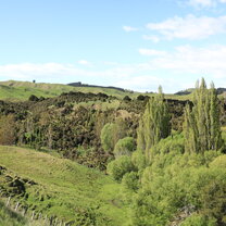 The view at the Hart farm