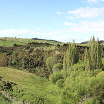 The view at the Hart farm