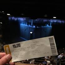 From the MANY plays we went to for the class titled "The Play's The Thing"