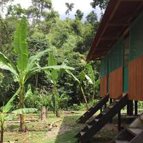 Come enjoy the simple life at our Amazon Jungle Camp.