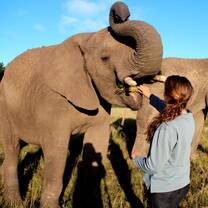Mica in South Africa