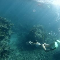 One of many snorkeling experiences
