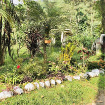 Part of the garden