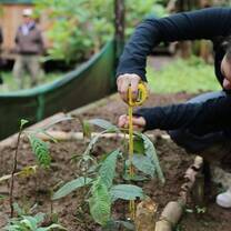 The Amazon Rainforest is an amazing place to learn about plant conservation!
