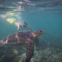 Get up close and personal with Ecuador's amazing wildlife!