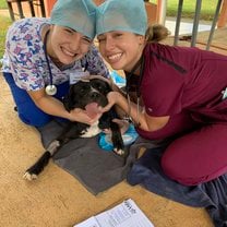 Me and a fellow pre vet student in recovery with a dog after surgery 