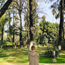 English Garden in the Alcazar, Sevilla