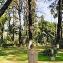 English Garden in the Alcazar, Sevilla