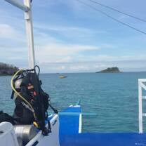 Daily diving views.