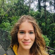Hanging bridges in La Fortuna