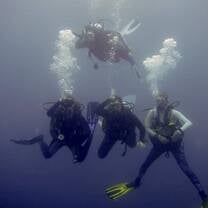 Just after our first Thresher shark siting!