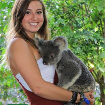 Currumbin Wildlife Sanctuary Holding a koala at the Currumbin Wildlife Sanctuary!