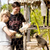 Lemur Conservation in Madagascar with GoEco
