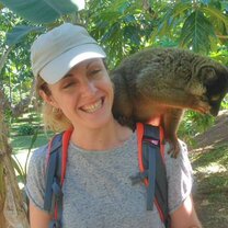 Lemur Conservation in Madagascar with GoEco