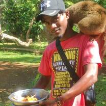 Lemur Conservation in Madagascar with GoEco
