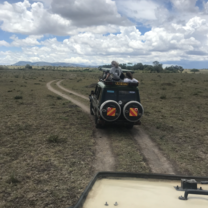 Masai Mara safari