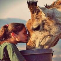 Top Volunteer Projects in South Africa with GoEco