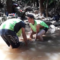 Volunteering In Rainforest
