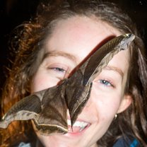 A Saturniidae on my face while completing a moth biodiversity lab