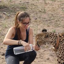 The Cheetah`s of Tshukudu - wild and free