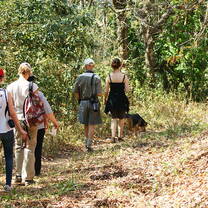 Walking Safari