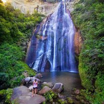 A lush, green waterfall in New Zealand.