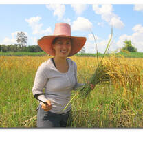 me at the ricefield