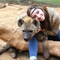 Excursons - The best Excursions - The best