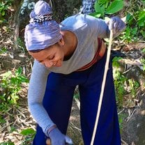 Working with Lahau tribe cutting bambu trees 