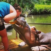 Excursions - The best Excursions - The best