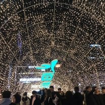Lights from the Seoul Lantern Festival 2019