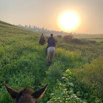 Horse ride near the kibbutz