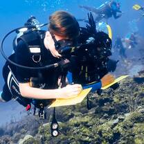 Learning about what is in the Caribbean Sea is vital to measuring progress.  Volunteers undertake monitoring dives