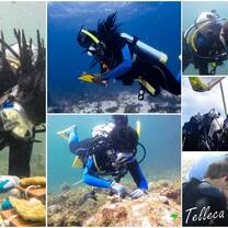 Involving local community members in our marine conservation volunteer projects, this is Teleca