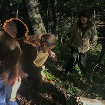 2019 Semester Program students harvesting acorns.