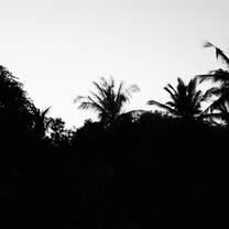 Beautiful Nature
