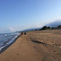 Walking down the beach in the early morning