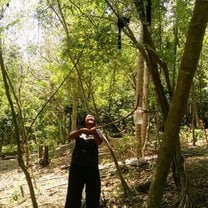 Trying to collect lemur urine samples and failing miserably!😅