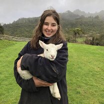 A woman holding a sheep in New Zealand with Yep IS