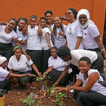 Tree planting as part of group business project