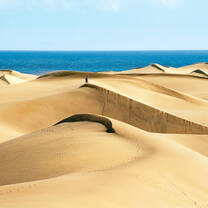Gran Canaria Desert