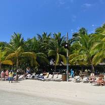 A photo from the waterfron looking towards the beach and the lines of palm trees