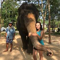 While traveling, I met some elephants!