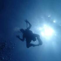 Scuba Diving
